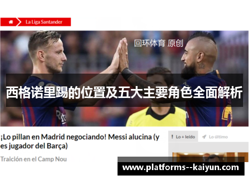 西格诺里踢的位置及五大主要角色全面解析
