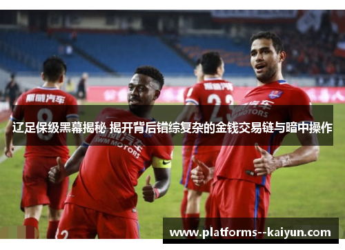 辽足保级黑幕揭秘 揭开背后错综复杂的金钱交易链与暗中操作
