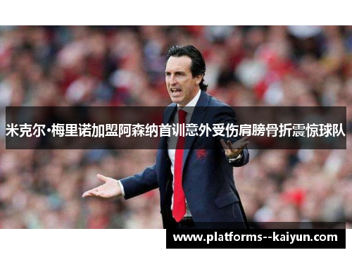 米克尔·梅里诺加盟阿森纳首训意外受伤肩膀骨折震惊球队 米克尔·梅里诺加盟阿森纳首训意外受伤肩膀骨折震惊球队